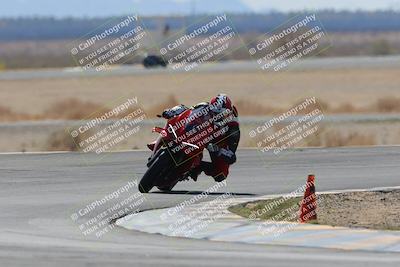 media/Apr-13-2025-Race Pace (Sun) [[7918213ab8]]/Vested/3-Turn 3 (1018am)/